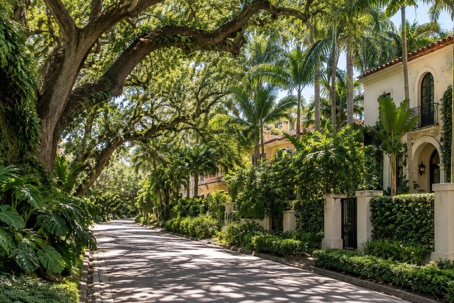 Coconut Grove